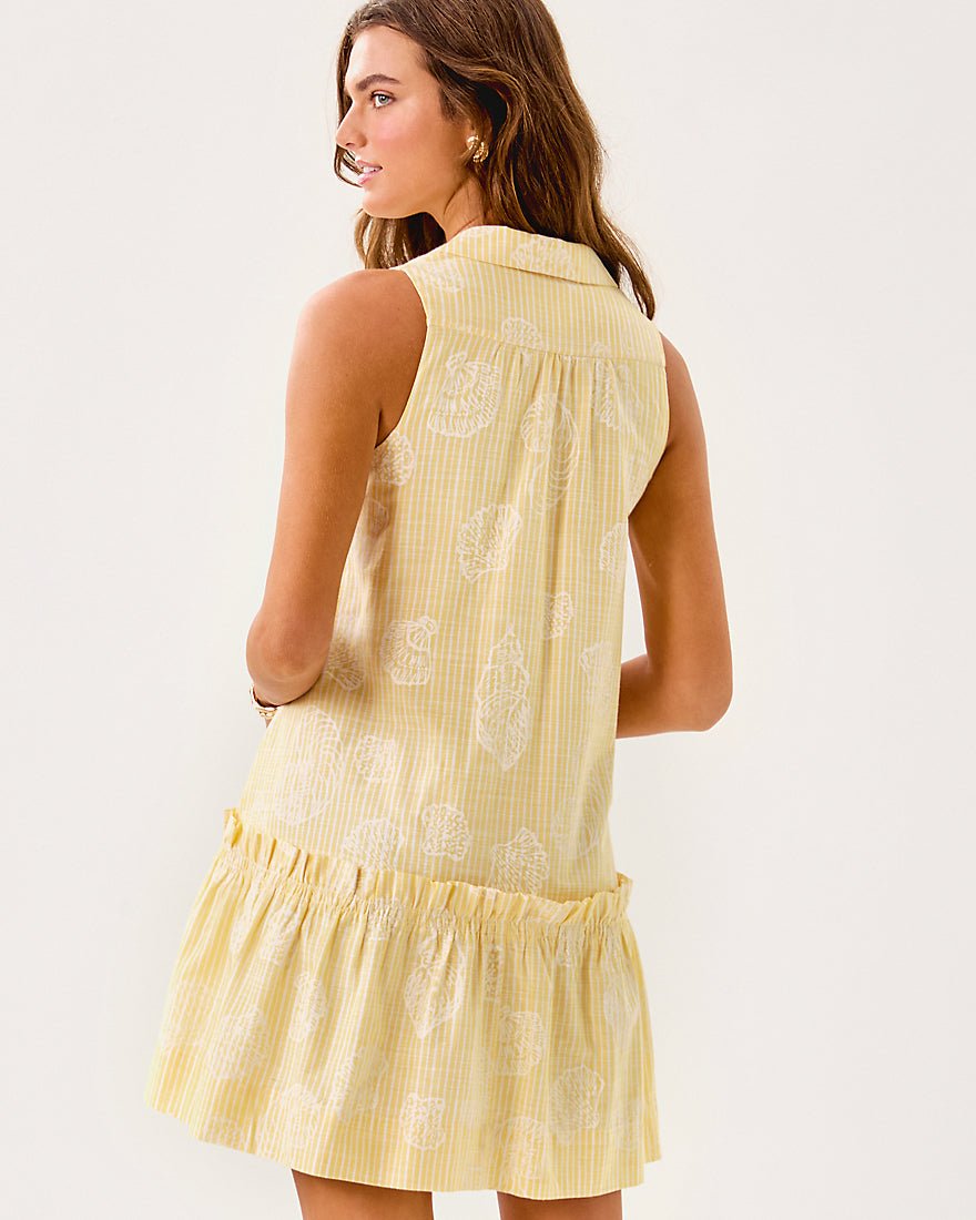 Caylinn Sleeveless Popover Shirtdress - Honeycomb Pigment Printed Secret Stripe