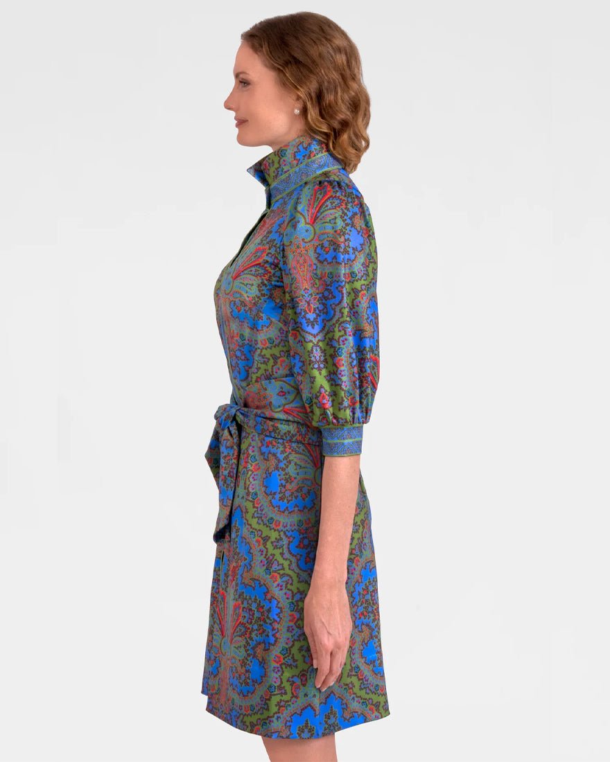 Swagger Dress - Olive Passion Paisley