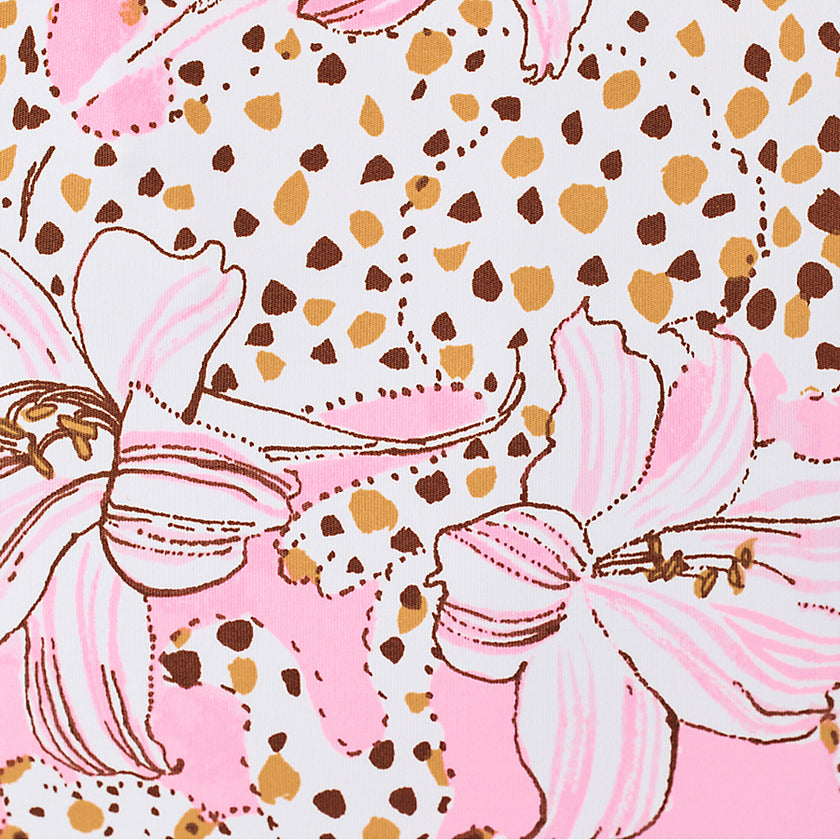 Conch Shell Pink Wildness