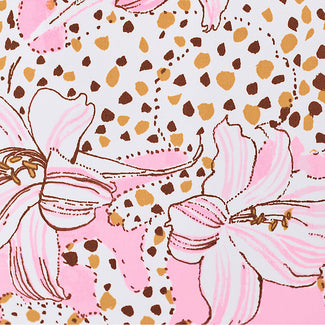 Conch Shell Pink Wildness