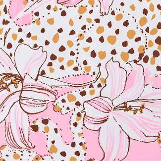 Conch Shell Pink Wildness