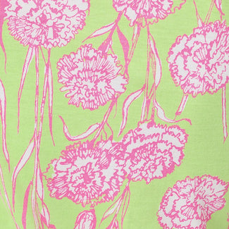 Pistachio Macaron Alina