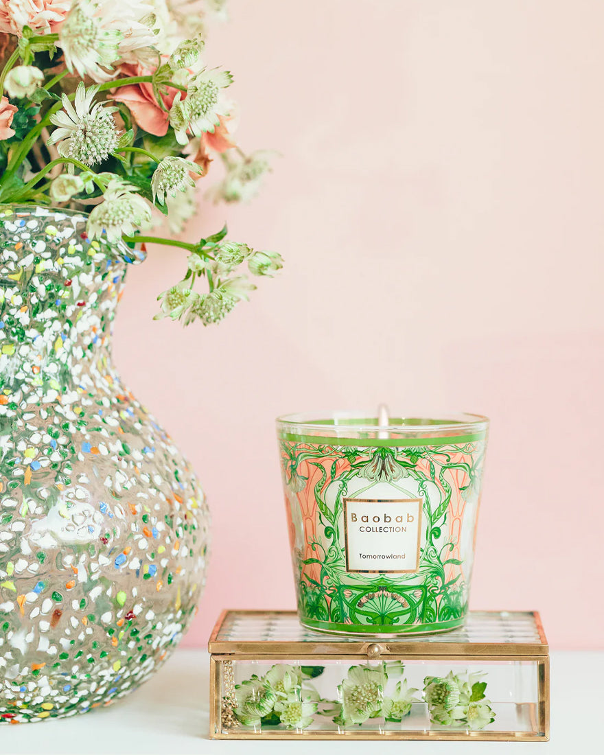 Candle My First Baobab Tomorrowland - Max 08