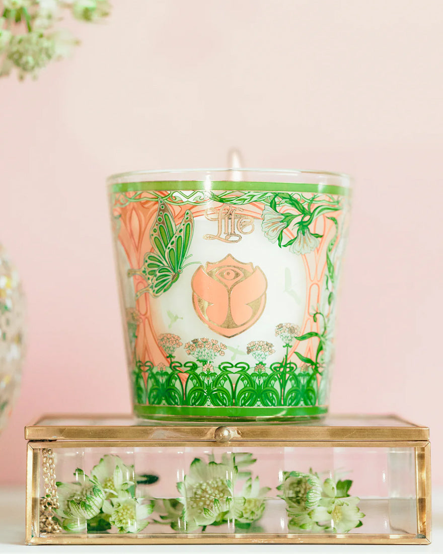 Candle My First Baobab Tomorrowland - Max 08