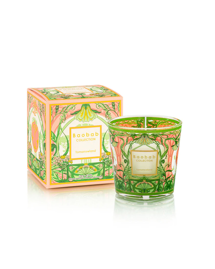 Candle My First Baobab Tomorrowland - Max 08