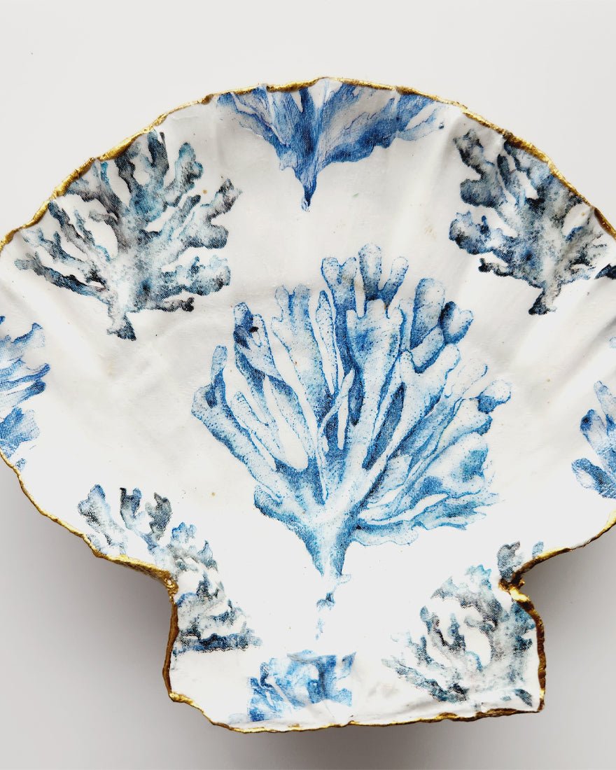 Decoupage Seashell Scallop - Grand Blue Coral