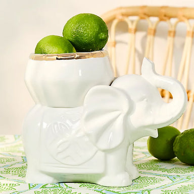 Ceramic Cachepot - Coconut