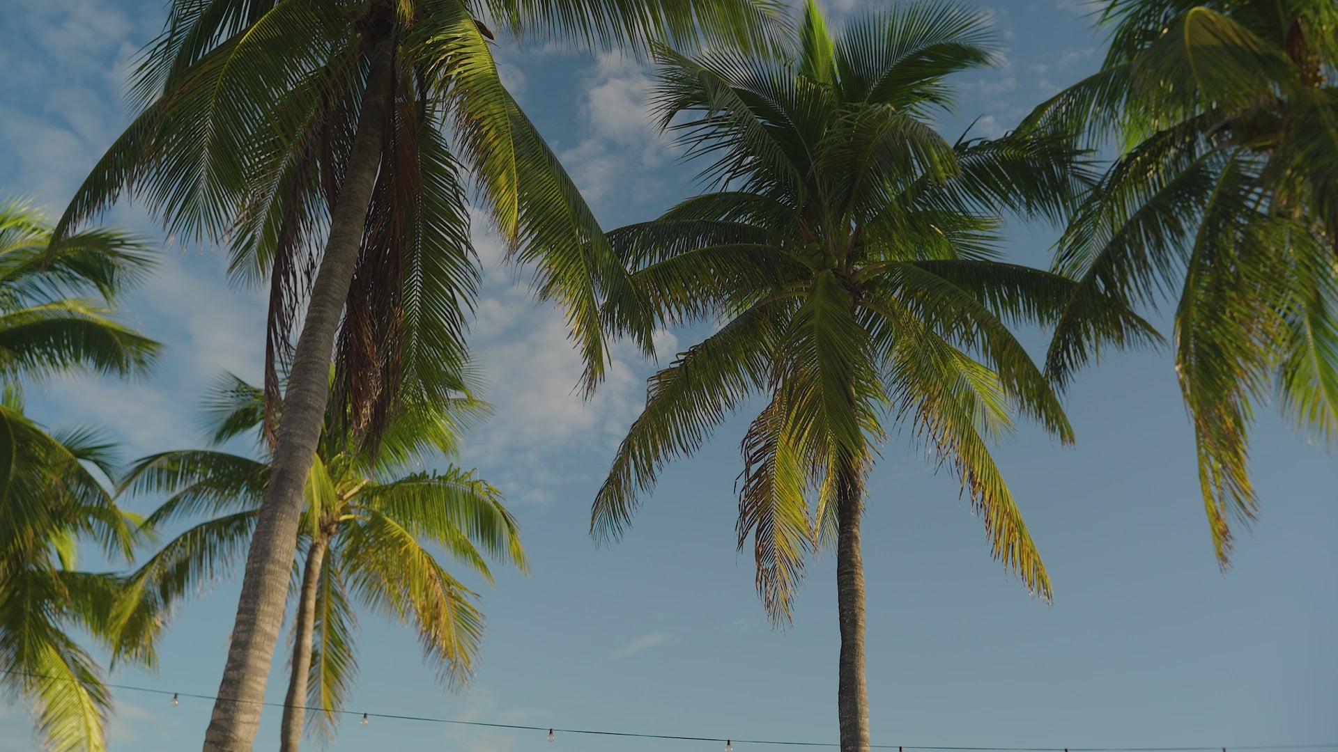 Load video: Lilly Pulitzer Spring 2026 Video